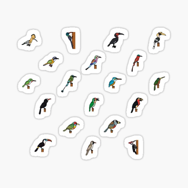 Bird Icon Pack 6 - Hornbills, Kingfishers, Woodpeckers, and Friends Sticker