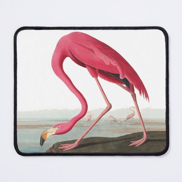 Artikelvorschau, Flamingos can fly! entworfen und verkauft von tomrothster.