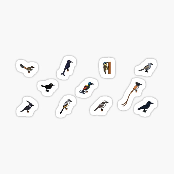 Bird Icon Pack 10 - Corvids and Friends Sticker
