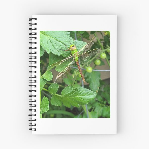 Item preview, "Just A Dragonfly"  designed and sold by cscott1128.