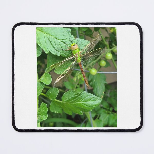 Item preview, "Just A Dragonfly" designed and sold by cscott1128.