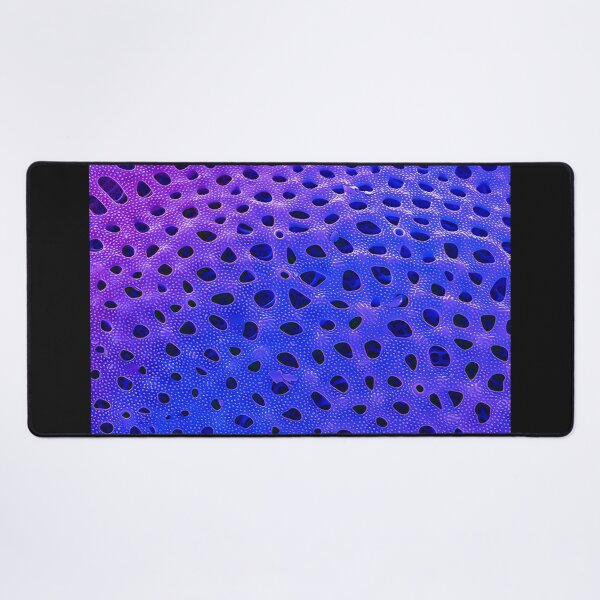 Item preview, Thalassiosira lacustris in SEM (Purple) designed and sold by DiatomsATTACK.