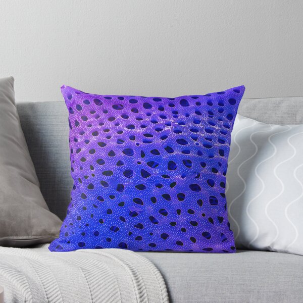 Item preview, Thalassiosira lacustris in SEM (Purple) designed and sold by DiatomsATTACK.