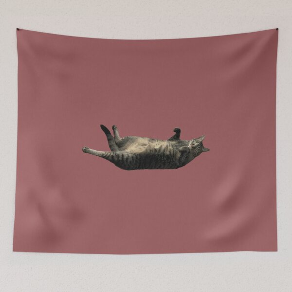 Item preview, Funny Little Tabby Doing “Crunches”  designed and sold by Amanda1775.