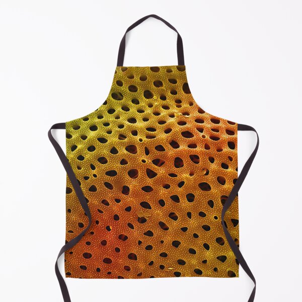Item preview, Thalassiosira lacustris in SEM (Orange) designed and sold by DiatomsATTACK.