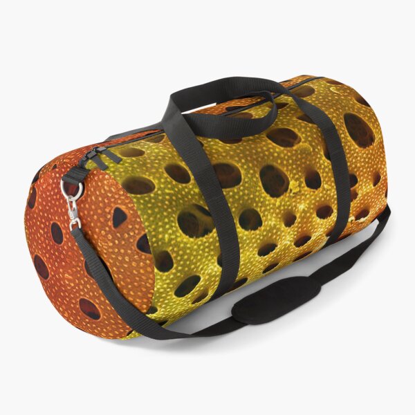 Item preview, Thalassiosira lacustris in SEM (Orange) designed and sold by DiatomsATTACK.