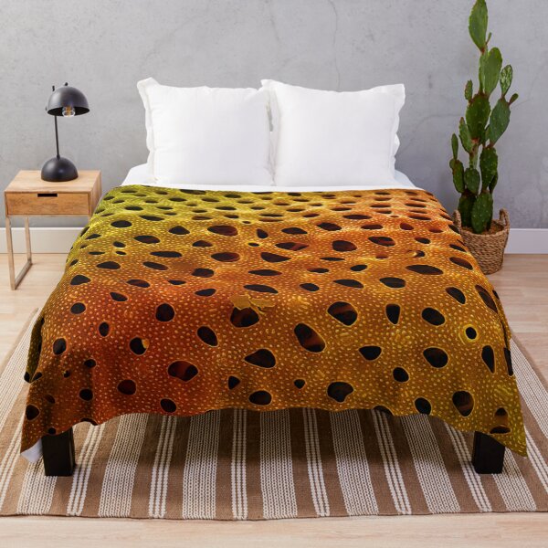 Item preview, Thalassiosira lacustris in SEM (Orange) designed and sold by DiatomsATTACK.