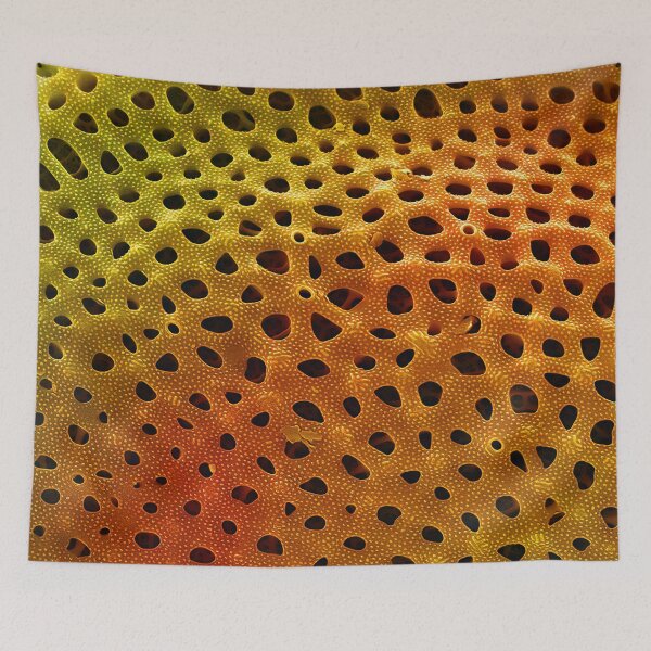Item preview, Thalassiosira lacustris in SEM (Orange) designed and sold by DiatomsATTACK.