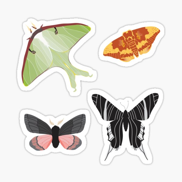 Illustrated moth variety pack Sticker