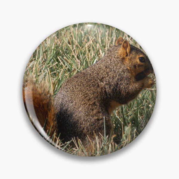 Item preview, Saturday brunching by a squirrel that's munching designed and sold by Joel Bader.