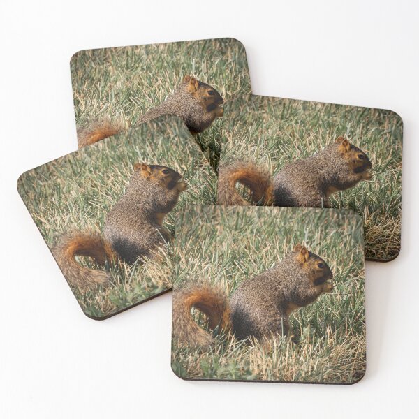 Item preview, Saturday brunching by a squirrel that's munching designed and sold by Joel Bader.