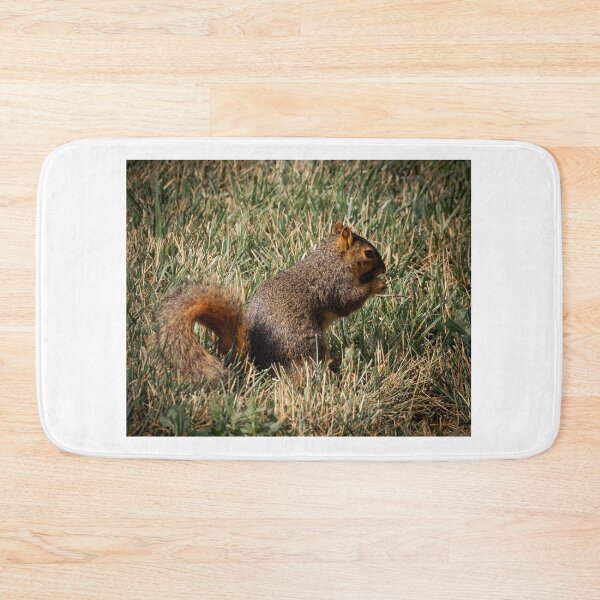Item preview, Saturday brunching by a squirrel that's munching designed and sold by Joel Bader.