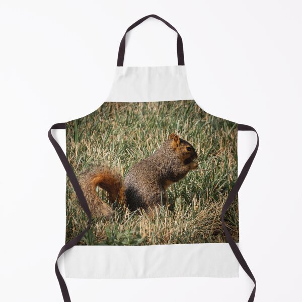 Item preview, Saturday brunching by a squirrel that's munching designed and sold by Joel Bader.