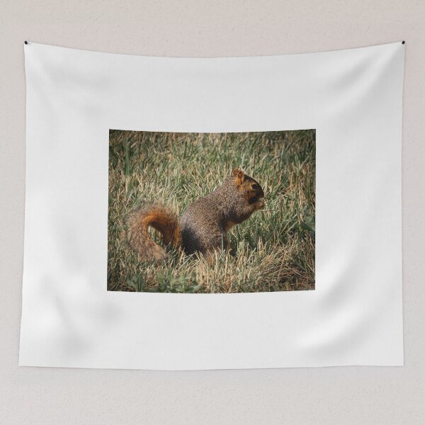 Item preview, Saturday brunching by a squirrel that's munching designed and sold by Joel Bader.