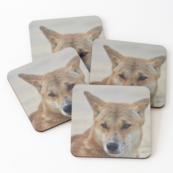 Item preview, Dingo Kgari Fraser Island  designed and sold by Mark Grimsley.