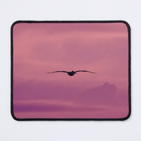 Item preview, Early Morning Pelican silhouette designed and sold by Mark Grimsley.