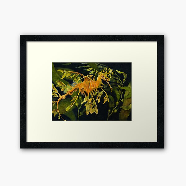 Leafy Seadraon and Kelp Framed Art Print