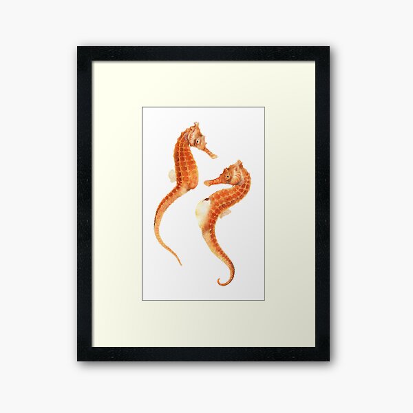 Seahorse Love Framed Art Print