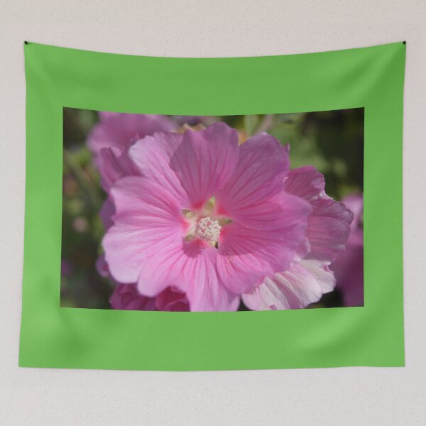 Item preview, pretty pink hibiscus  flower photography designed and sold by naturematters.