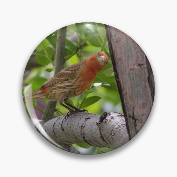 Item preview, Bird designed and sold by ianmark.