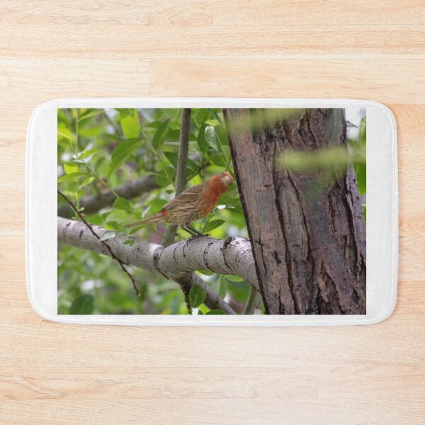 Item preview, Bird designed and sold by ianmark.