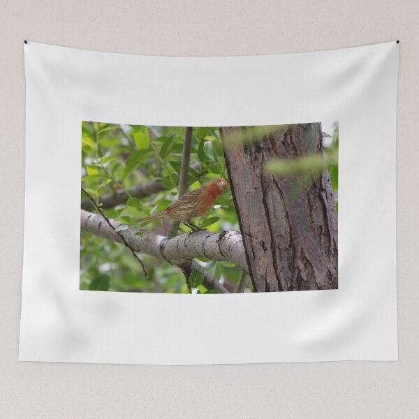Item preview, Bird designed and sold by ianmark.