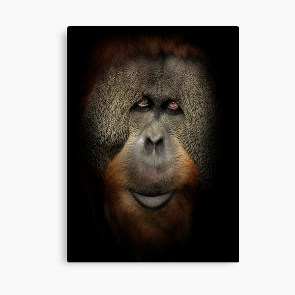 Face Canvas Print