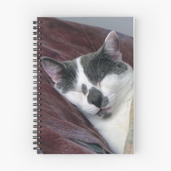 Item preview, Cat Napping designed and sold by Frankie Cat Photography.