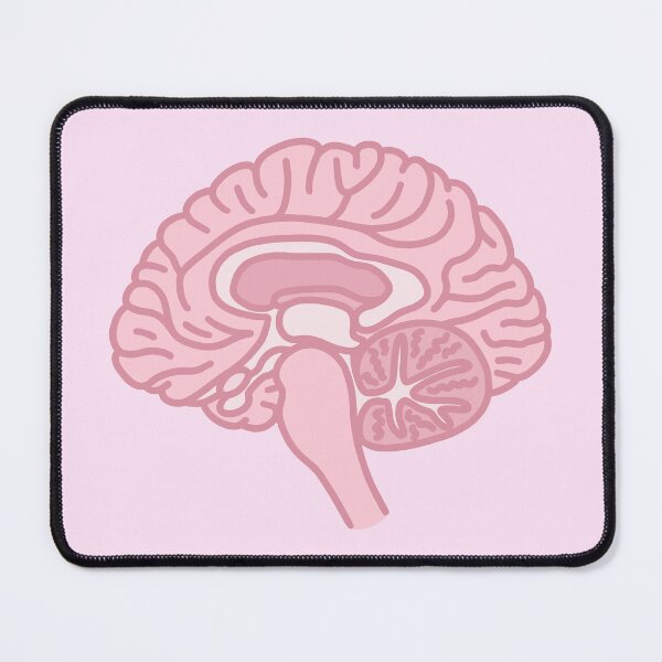 Item preview, Sagittal Half Brain designed and sold by BundaBear.