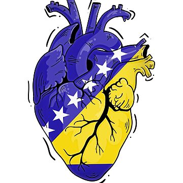 Sticker for Sale mit Herz Flagge von Bosnien und Herzegowina, Bosnien-Herz,  Bosnien-Herz, Bosnien-Frauen, Bosnien-Männer, lustige Bosnien-Geschenke,  Bosnien-Wurzeln, Bosnien-Flagge, Bosnien stolz, Bosnien-Stolz von Kyle-H