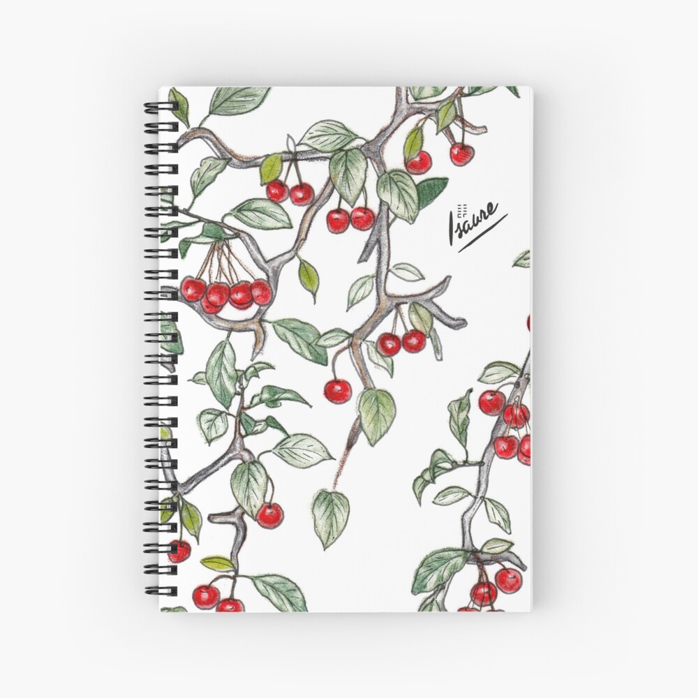 Aperçu de l'œuvre Cahier à spirale créée et vendue par IsaureEcartfixe.