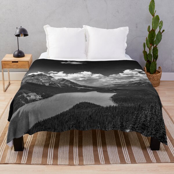 Item preview, Lake Peyto Monoscape designed and sold by hawkie.