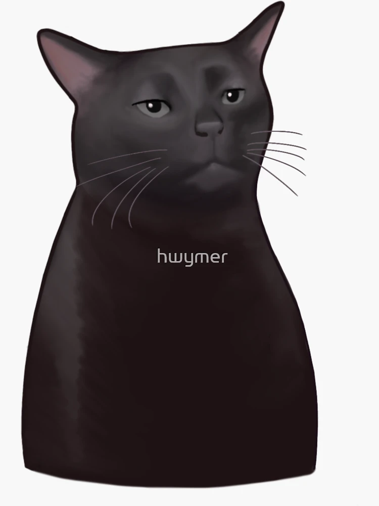 No Nonsense Black Cat Sticker – Gallery Boom