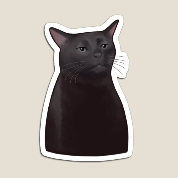 Black cat sticker/magnet - I am proud of me – Shang Daili