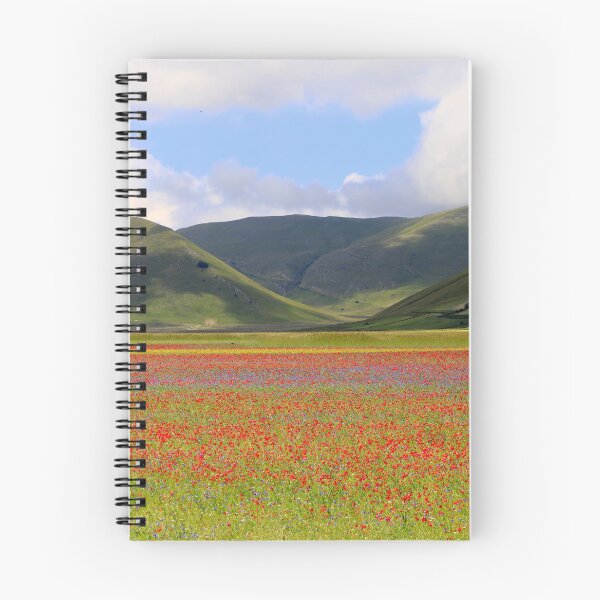 Item preview, The flowering of Castelluccio designed and sold by annalisa56.
