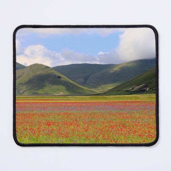 Item preview, The flowering of Castelluccio designed and sold by annalisa56.