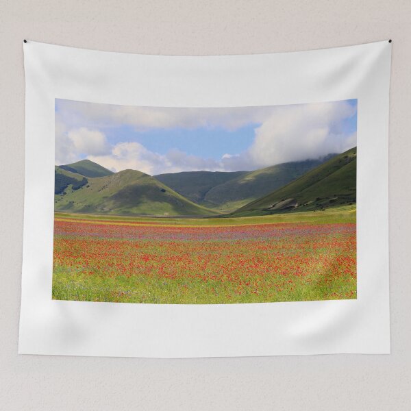 Item preview, The flowering of Castelluccio designed and sold by annalisa56.