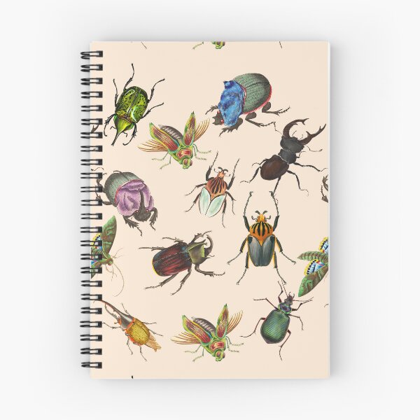 Item preview, Beautiful Vintage Bugs and Insects Illustration designed and sold by ManifestoDesign.
