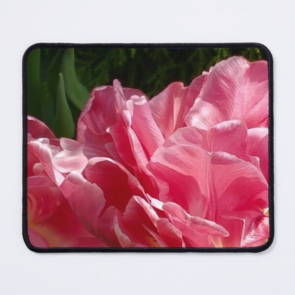 Item preview, Pink Tulip Blush designed and sold by AASparksDesigns.