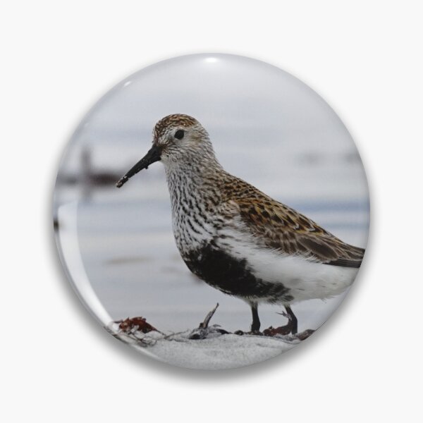 Item preview, Dunlin on the beach designed and sold by AnnaWoodNature.
