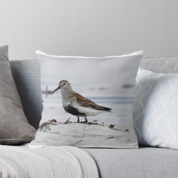 Item preview, Dunlin on the beach designed and sold by AnnaWoodNature.
