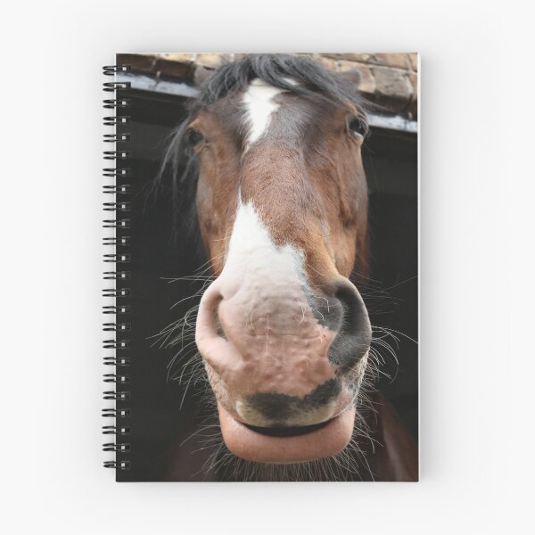 Item preview, Equus Curius designed and sold by Yampimon.