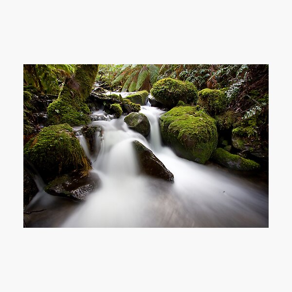 Cement Creek Photographic Print