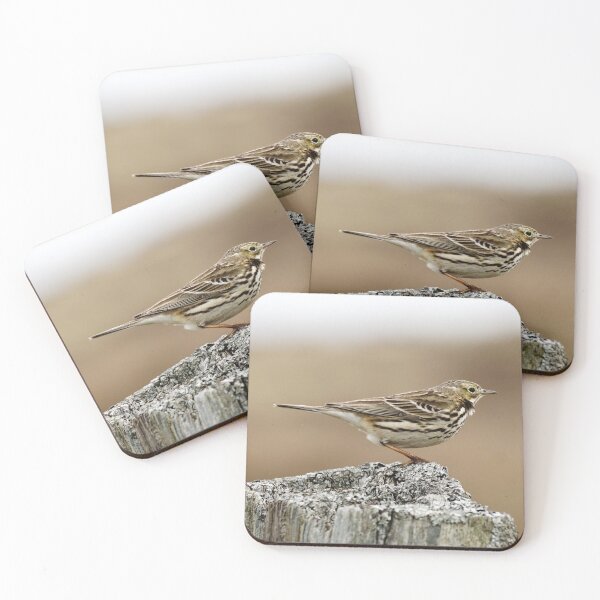 Item preview, Meadow pipit on a post designed and sold by AnnaWoodNature.