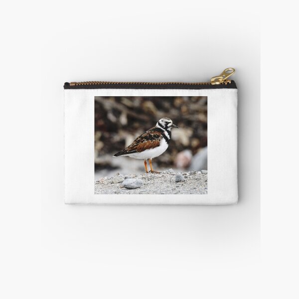 Item preview, Turnstone designed and sold by AnnaWoodNature.