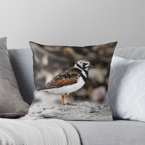 Item preview, Turnstone designed and sold by AnnaWoodNature.