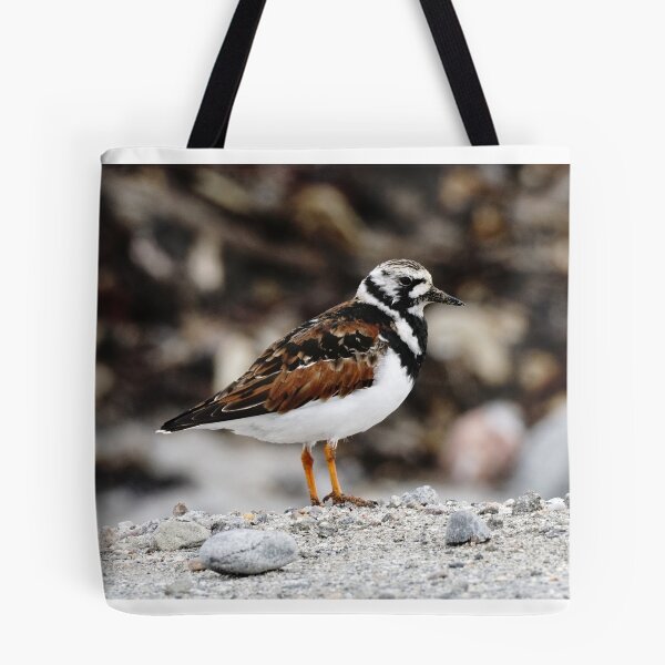 Item preview, Turnstone designed and sold by AnnaWoodNature.