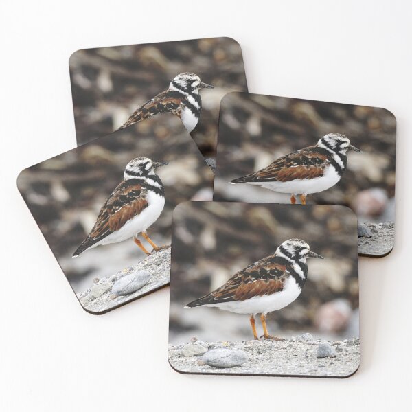 Item preview, Turnstone designed and sold by AnnaWoodNature.