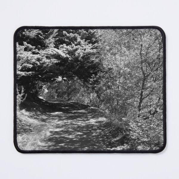 Item preview, Yarra River Path designed and sold by Seasonsinprint.