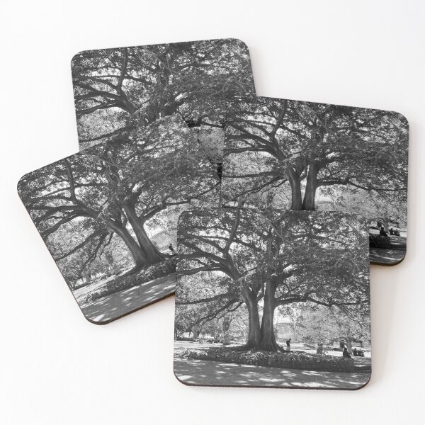 Item preview, Flagstaff Gardens designed and sold by Seasonsinprint.